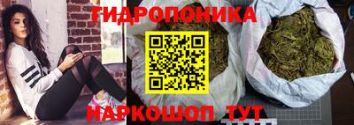 каннабис Аргун