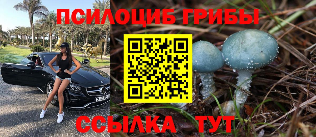 Великие Луки  Псилоцибиновые грибы Magic Shrooms  купить наркоту  Вход с VPN 